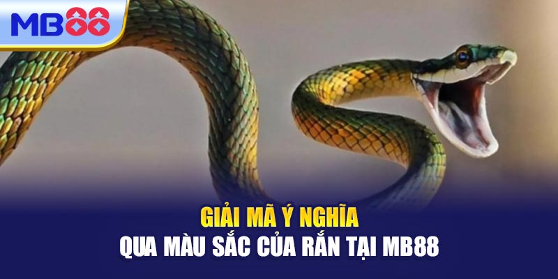 Giải Mã Ý Nghĩa Qua Màu Sắc Của Rắn Tại MB88