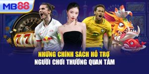 Những Chính Sách Hỗ Trợ Người Chơi Thường Quan Tâm