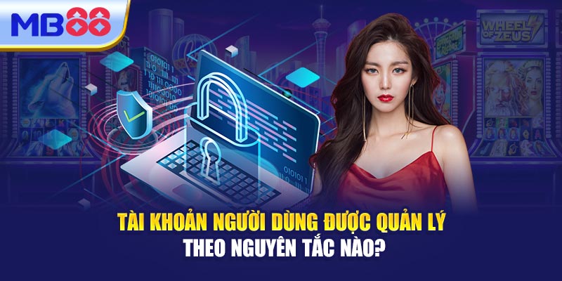Tài Khoản Người Dùng Được Quản Lý Theo Nguyên Tắc Nào?