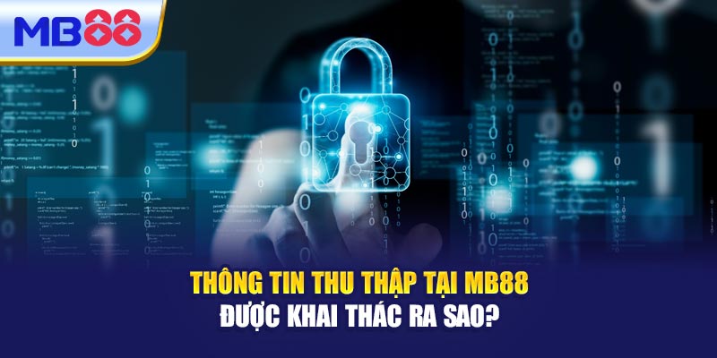 Thông Tin Thu Thập Tại MM88 Được Khai Thác Ra Sao?